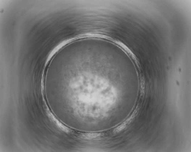 X0000087421294200704201416