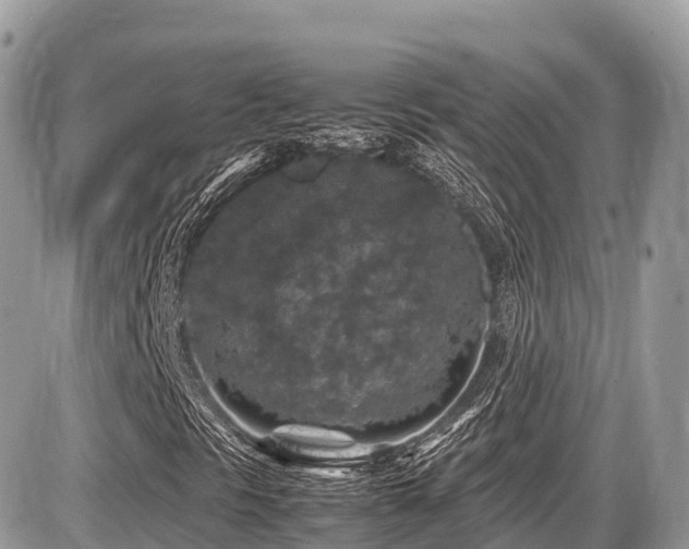 X0000087421297200704201416