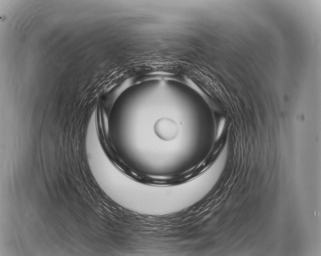 X0000087421298200704201416