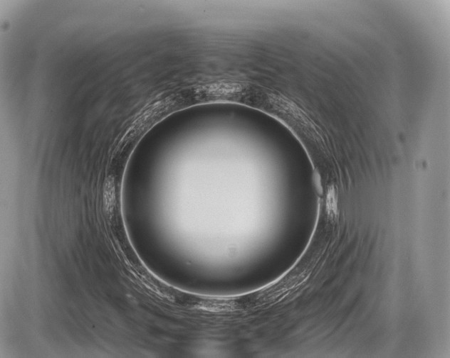 X0000087421299200704201416