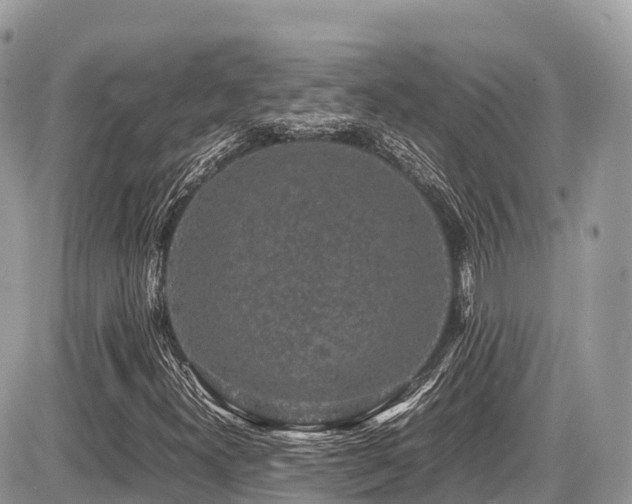 X0000087421300200704201416