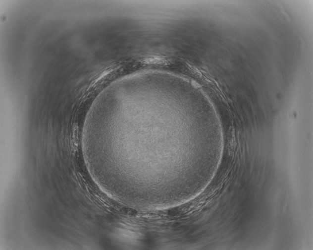 X0000087421301200704201416