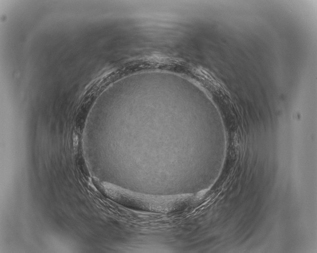 X0000087421302200704201416