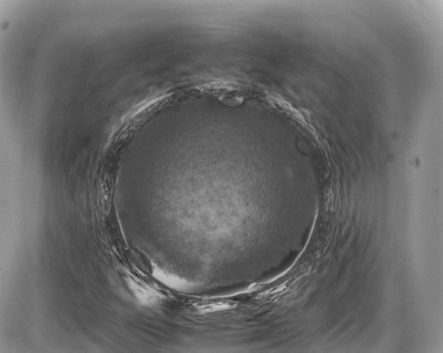 X0000087421303200704201416