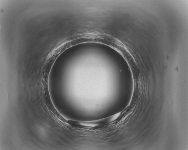 X0000087421304200704201416