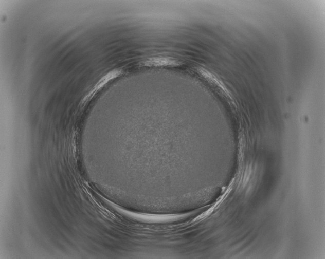 X0000087421305200704201416