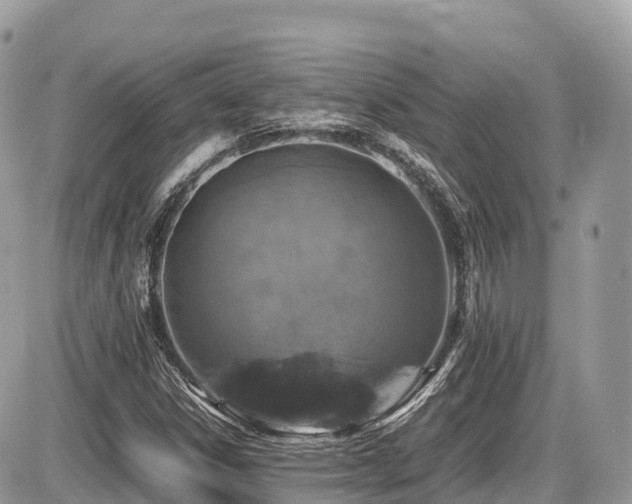 X0000087421306200704201416