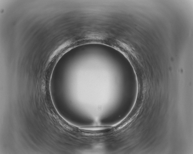 X0000087421307200704201416