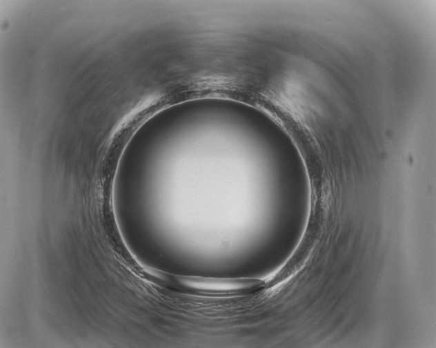 X0000087421309200704201416