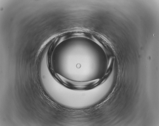 X0000087421310200704201416