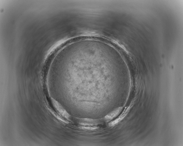 X0000087421311200704201416