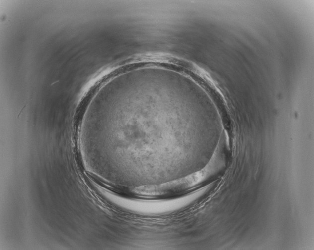 X0000087421312200704201416