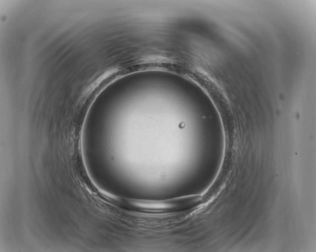 X0000087421313200704201416