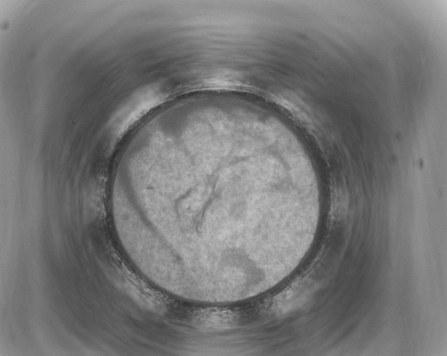 X0000087421314200704201416