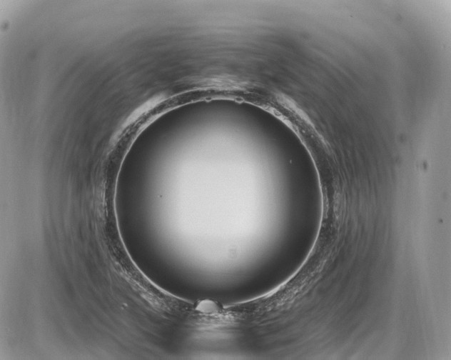 X0000087421315200704201416