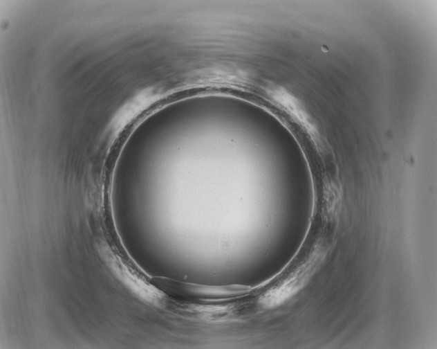 X0000087421316200704201416