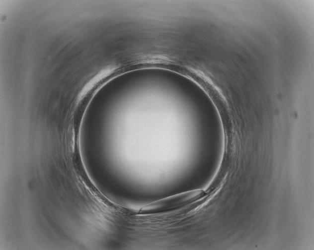 X0000087421317200704201416