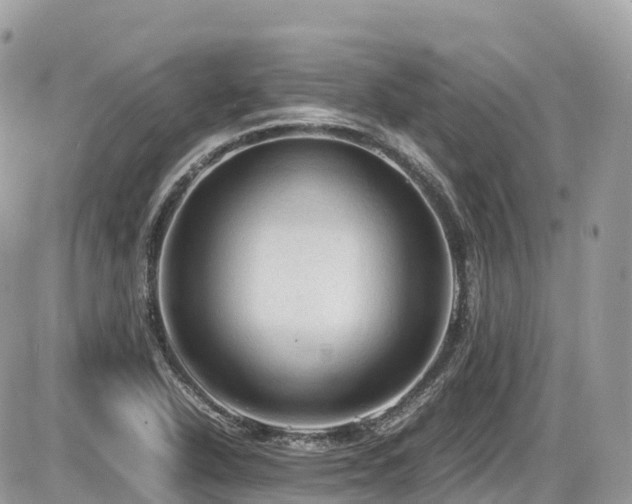 X0000087421318200704201416