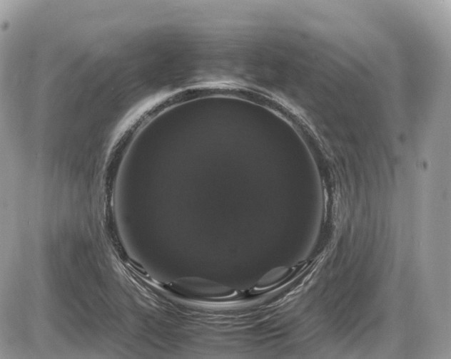 X0000087421319200704201416