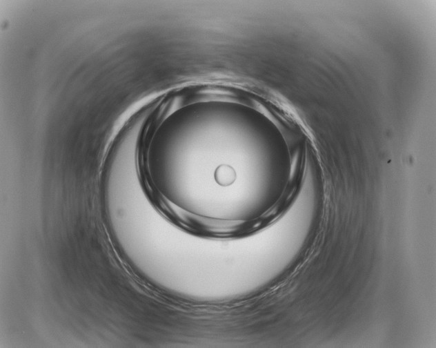 X0000087421320200704201416