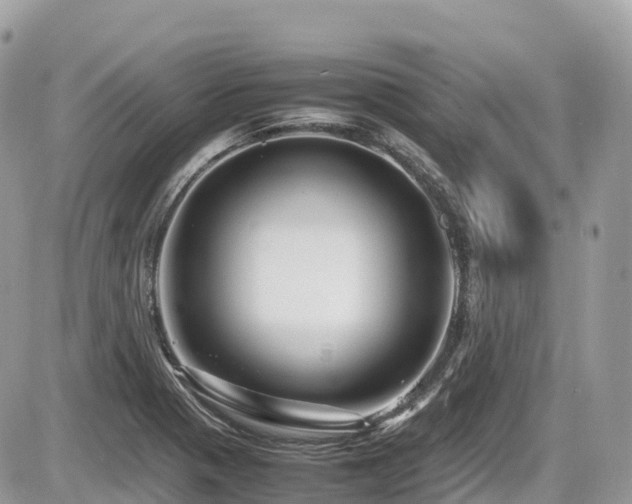 X0000087421321200704201416