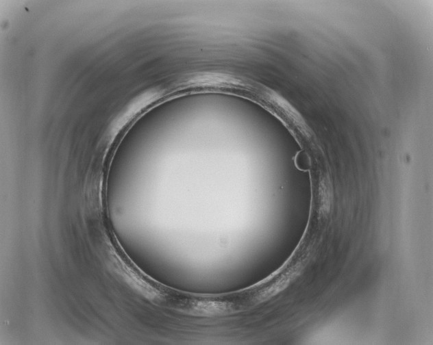 X0000087421322200704201416