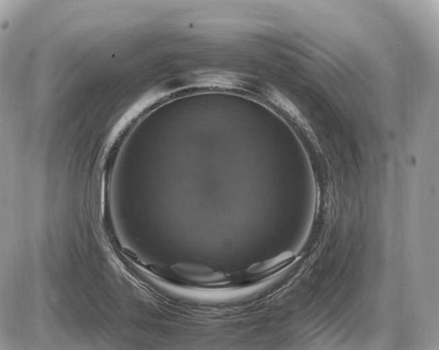 X0000087421323200704201416