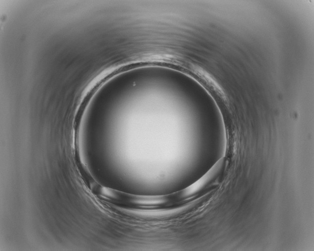 X0000087421324200704201416