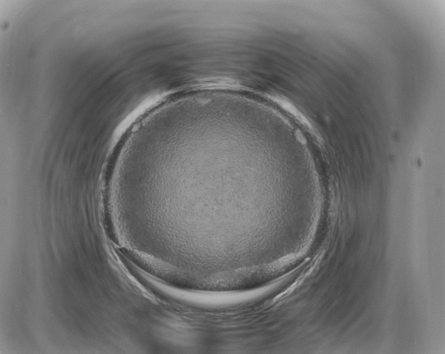 X0000087421325200704201416