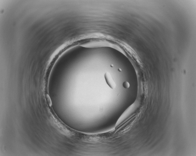 X0000087421326200704201416