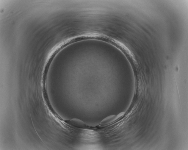 X0000087421327200704201416