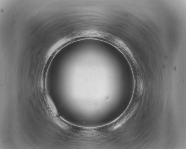 X0000087421328200704201416