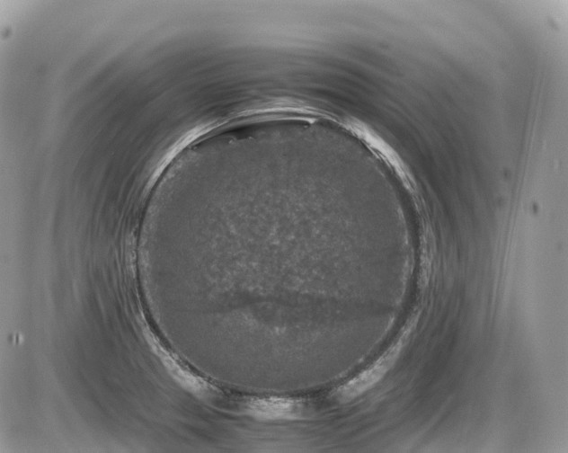 X0000087421329200704201416