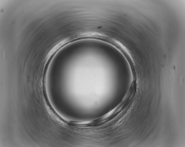 X0000087421330200704201416