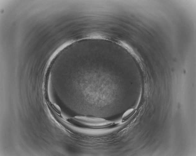 X0000087421331200704201416