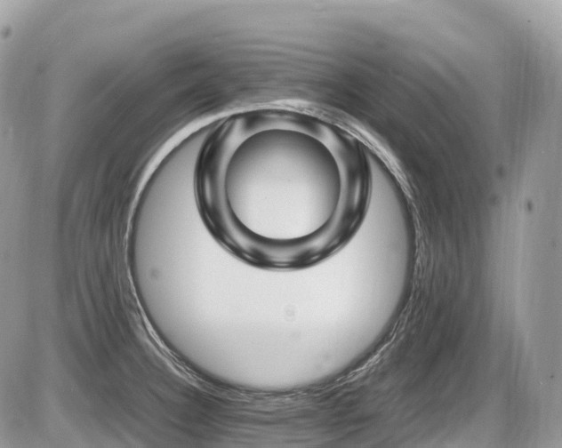 X0000087421332200704201416