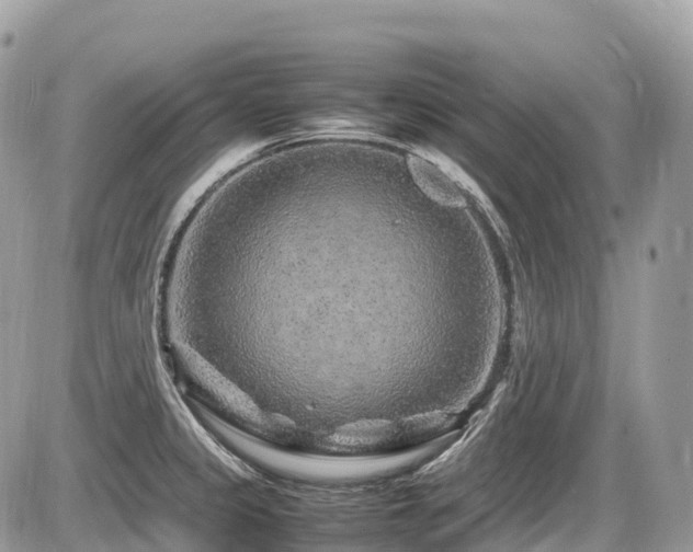 X0000087421333200704201416