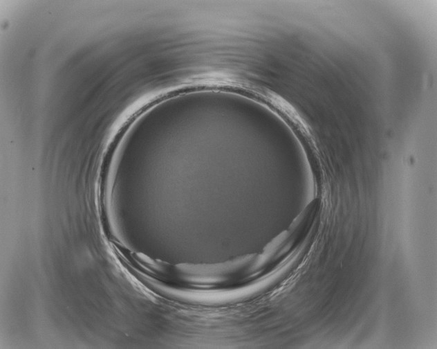 X0000087421334200704201416