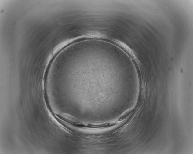 X0000087421335200704201416