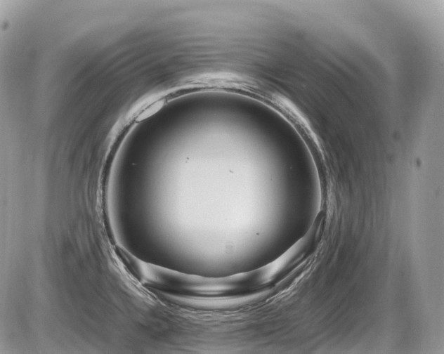 X0000087421336200704201416