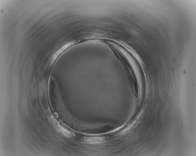 X0000087421337200704201416