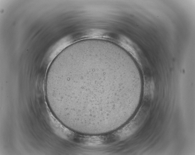 X0000087421338200704201416