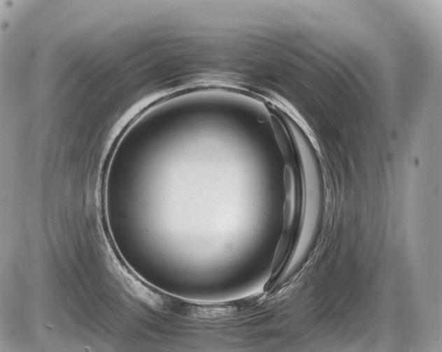 X0000087421339200704201416