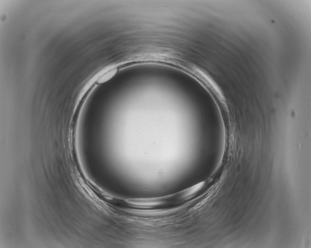 X0000087421340200704201416