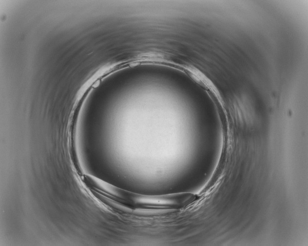 X0000087421341200704201416