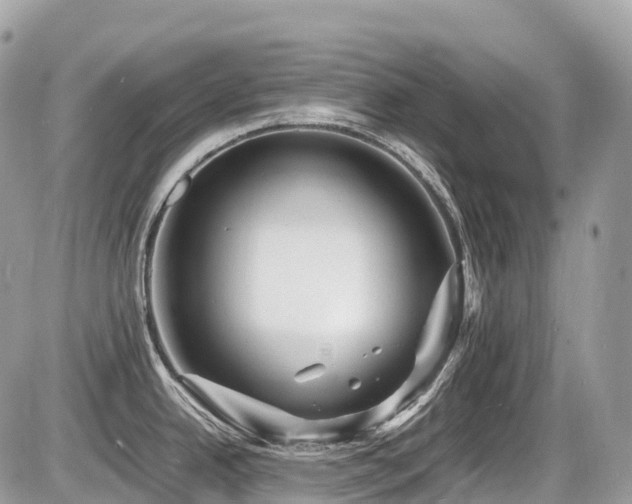 X0000087421342200704201416