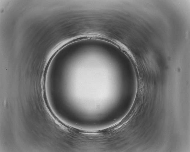 X0000087421343200704201416