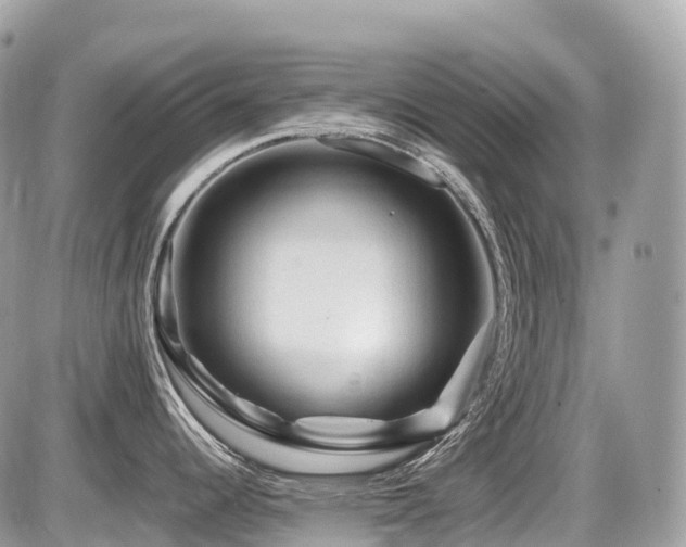 X0000087421344200704201416