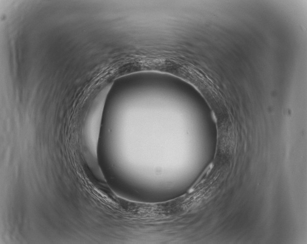 X0000087421345200704201416