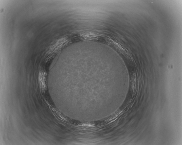 X0000087421346200704201416